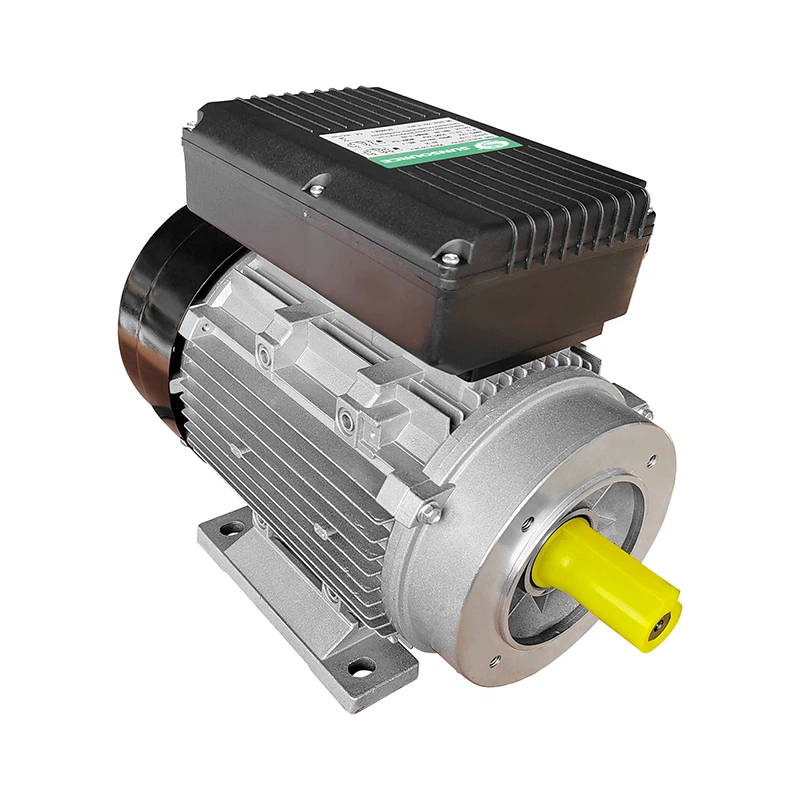 AC Induction Motor