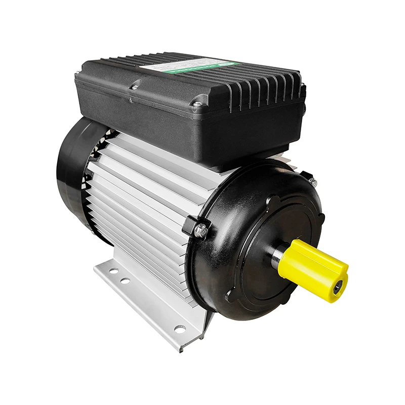 Small Single Phase AC Motor