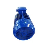 What maintenance does a 3 Phase 110V Motor need?